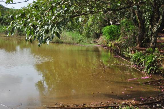 Fazenda em Ribeirão Preto, no interior de São Paulo